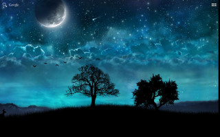 Night sky tree moon bird - a bird free wallpaper