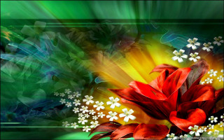 Red flower white flowers green 3 - free flowers wallpaper for desktop