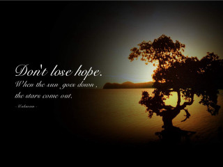 Tree dont lose hope quote - free love wallpaper for desktop
