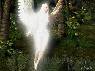 White haired angel walking forest - free gaming wallpaper for desktop