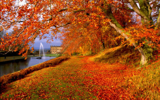 Autumn lake trees leaves ground - arthur quartley free wallpaper