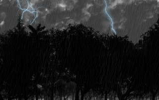 Storm lightning trees bench cloudy - thunderstorm free wallpaper