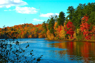 Lake fall colors trees blue - cloud above free wallpaper