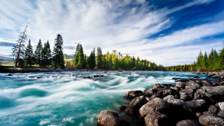 River rocks trees mountain blue - rock and trees free wallpaper