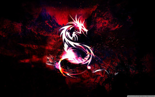 Dark background dragon red black - a white dragon free wallpaper