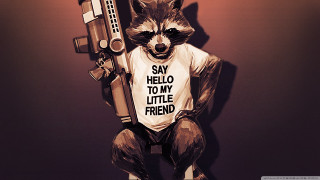 Raccoon holding gun tshirt say - little free wallpaper for desktop