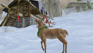 Deer snowy landscape cabin bird - screenshot free wallpaper