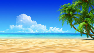 Palm tree sandy beach blue 2 - a sandy beach free wallpaper