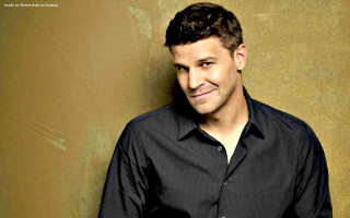 Man black shirt smiling gold - a wall behind free wallpaper