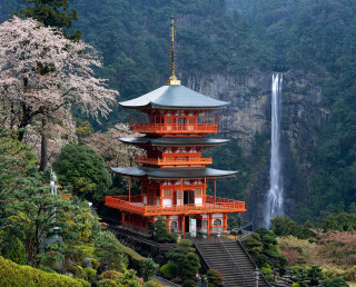 Tall pagoda waterfall trees foreground - a waterfall in the background and trees free wallpaper