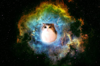 Cat colorful space stars bright - a colorful space free wallpaper