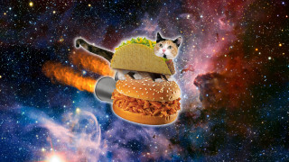 Cat hamburger sky cat background - a cat in the background free wallpaper