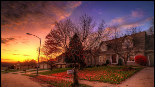 House tree streetlight sunset colorful - a colorful sky free wallpaper