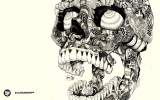 Skull drawing face details eye - different thing free wallpaper for desktop