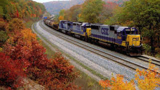 Train autumn forest tracks foliage - a train free wallpaper
