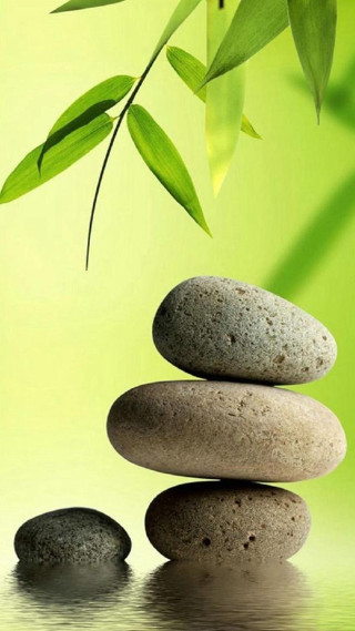 Bamboo leaf rocks water surface - a pile of rocks free wallpaper