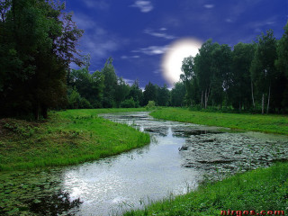 River lush forest full moon - sky free wallpaper