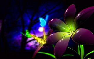 Flower butterfly night dark tree - a butterfly free wallpaper