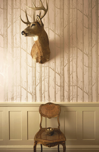 Deer head wall mounted chair - a wall next free wallpaper for mobile