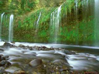 Waterfall rocks green plants stream - free nature wallpaper for desktop