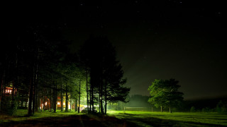 Dark forest house trees nighttime - a house and trees free wallpaper