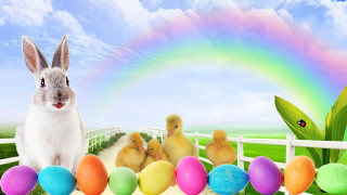 Rabbit chicks fenced area rainbow - a detailed matte painting free wallpaper