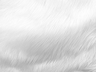 White fur texture black background - a background free wallpaper