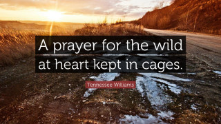 Quote road prayer wild heart - charles williams free wallpaper