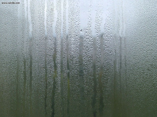 Window rain drops green grass - green free wallpaper