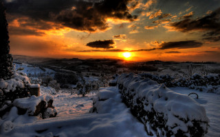 Sunset snowy landscape fence trees - a fence and trees free wallpaper