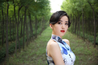 Woman dress forest trees path - the background and a path free wallpaper