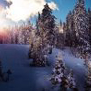 Snow covered forest sky clouds - free winter wallpaper for tablet