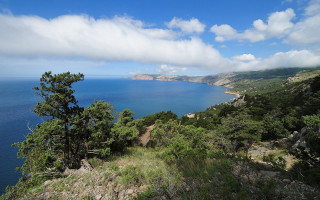 Hilltop water view trees cloudy - a hill top free wallpaper