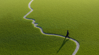 Man walking green field snake - facial feature free wallpaper