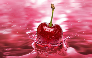 Cherry stem water pink background - a stem free wallpaper