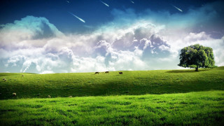Green field tree clouds stars - beautiful landscape free wallpaper for desktop