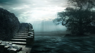 Stone wall tree stairway water - a stone wall free wallpaper