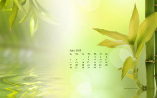 Calendar bamboo plant water green - a calendar free wallpaper for desktop