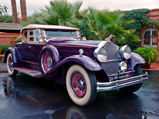 Purple car driveway palm tree - a driveway next free wallpaper