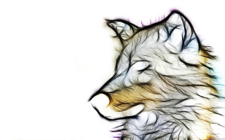 Wolf artistic photo white black - digital artwork free wallpaper