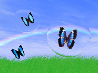Butterflies green field rainbow bubbles - over a green field free wallpaper