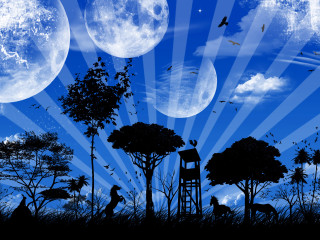 Man ladder field trees moon - full moon free wallpaper for desktop