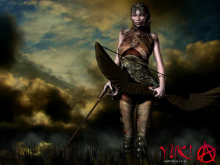 Woman costume sword bird field - a cloudy sky behind her free wallpaper