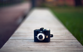 Camera wooden walkway grass park - the grass next free wallpaper