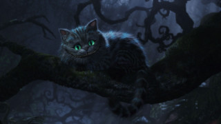 Cat glowing green eyes creepy - whimsical free wallpaper