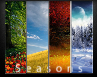 Trees flowers series four pictures - free seasons wallpaper