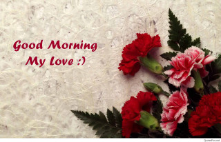 Bouquet flowers white surface message - my love free wallpaper