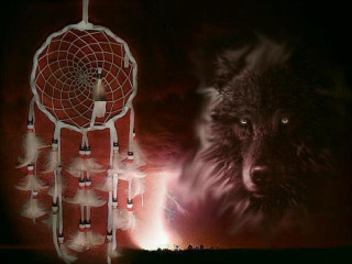 Wolf dreamcatcher red background allen - dream free wallpaper