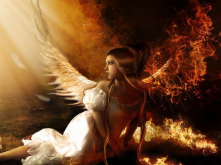 Woman wings sitting fire flames - a fire free wallpaper