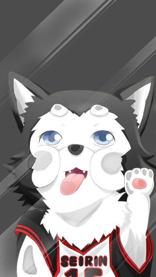 Cat jersey basketball jersey sporty - a cat free wallpaper for mobile